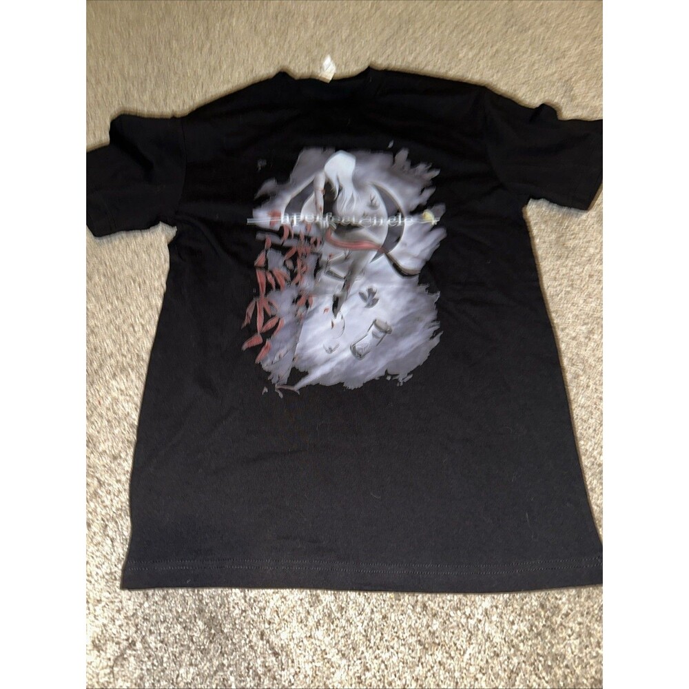 A Perfect Circle T-Shirt y2k Mens Medium Rock Grunge Band Tee. Heavyweight